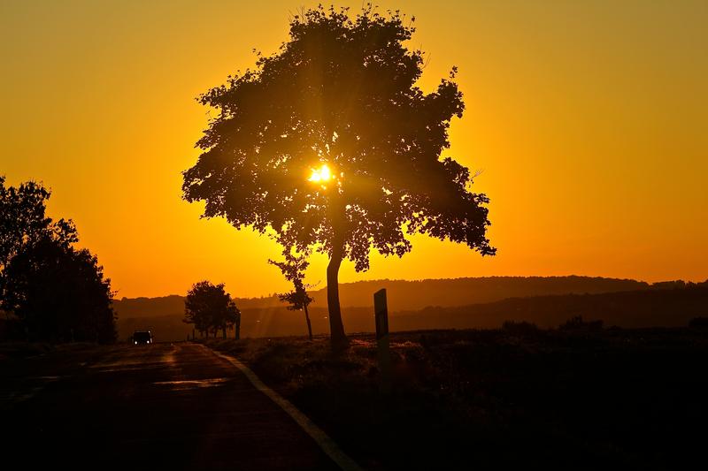 toamna, Foto: USER UPLOADED