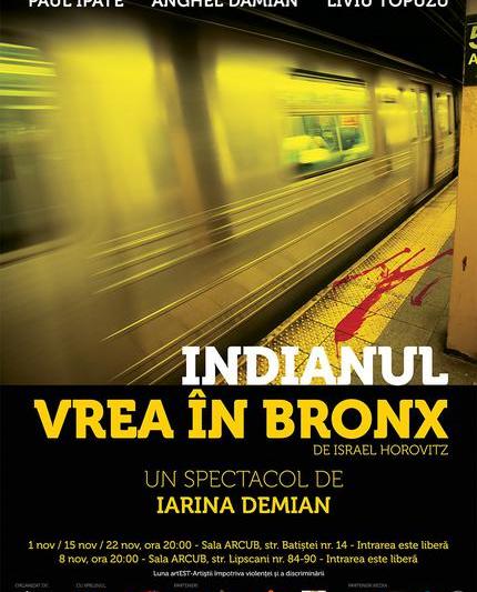 Indianul vrea in Bronx, regia Iarina Demian, Foto: Afis spectacol