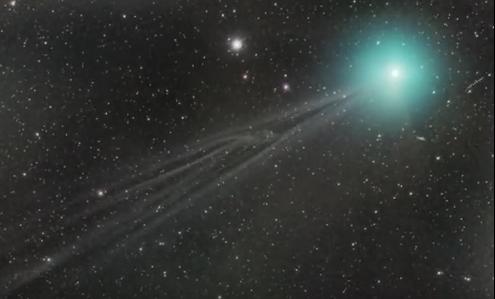 Lovejoy, Foto: youtube.com