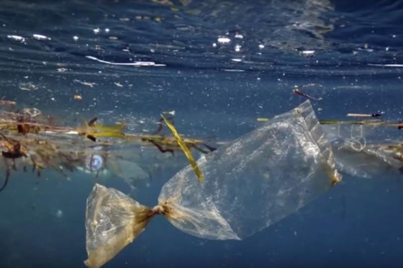 Oceanele lumii, sufocate de plastic, Foto: Captura YouTube