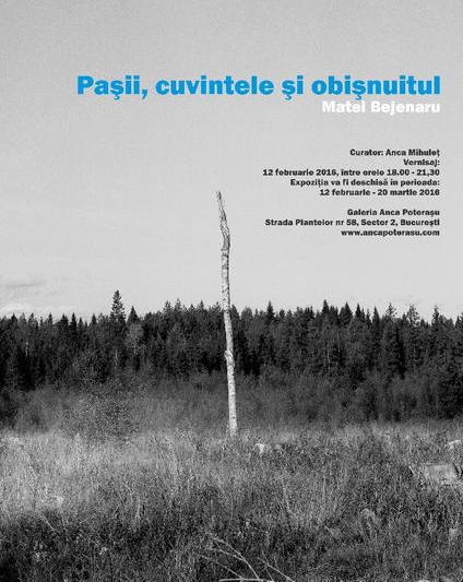 Matei Bejenaru- Pasii, cuvintele si obisnuitul, Foto: Anca Poterasu Gallery