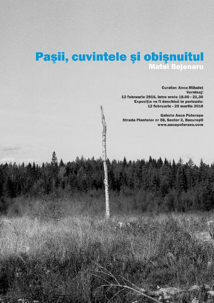 Matei Bejenaru- Pasii, cuvintele si obisnuitul, Foto: Anca Poterasu Gallery