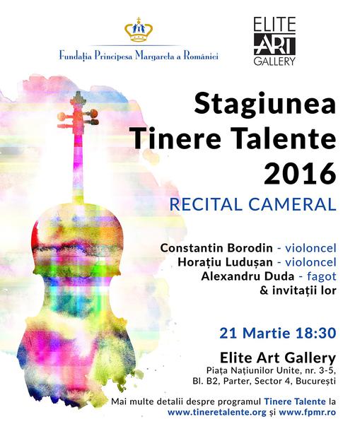 Stagiunea Tinere Talente 2016, Foto: Afis