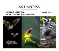 Jungla noaptea - lilieci, licurici, lemurieni, Foto: Muzeul Antipa