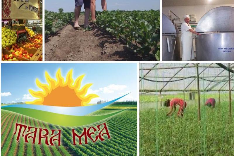 Producatori romani de succes, Foto: Smile Media