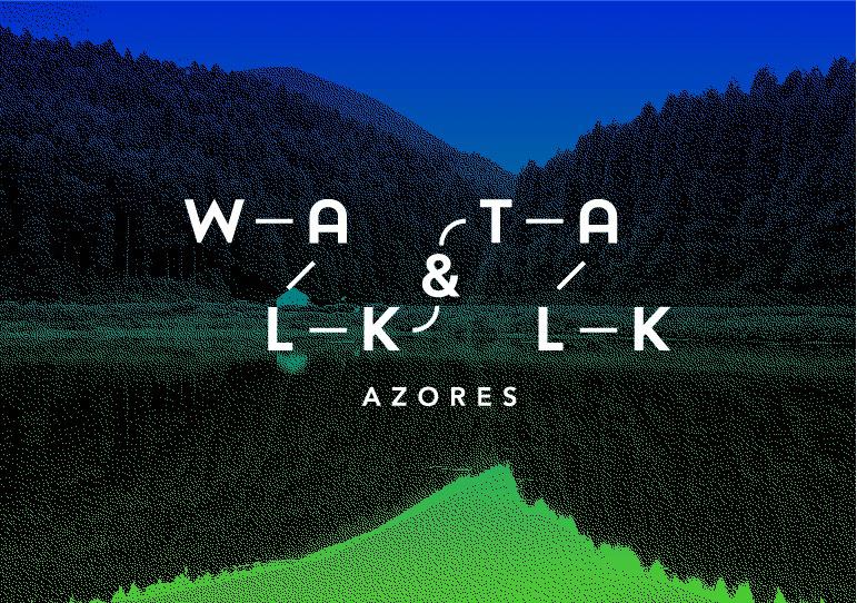 Festivalul de arta urbana Walk & Talk 2016, Foto: Afis