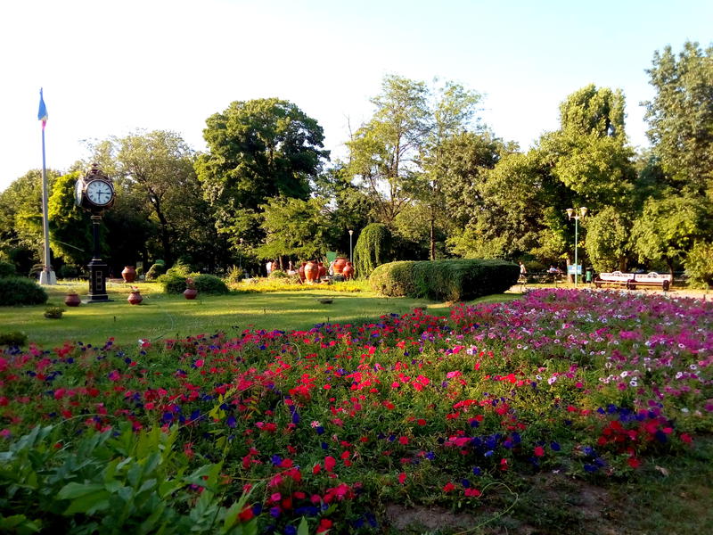 Cismigiu, Foto: USER UPLOADED