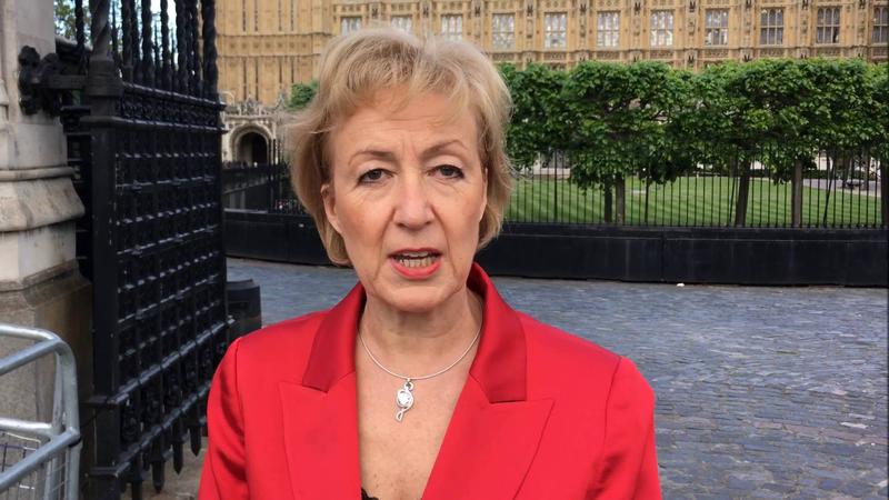 Andrea Leadsom, Foto: YouTube