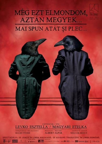 Premiera "Mai spun atat si plec", Foto: Afis spectacol