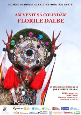 'Am venit sa colindam. Florile Dalbe', Foto: Muzeul Satului