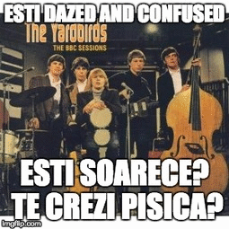 My Sixties. Yardbirds, Foto: Haute Culture