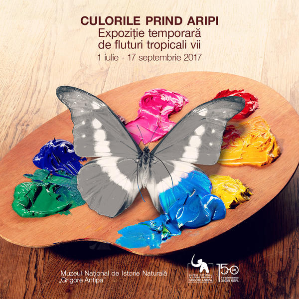 Expozitia 'Culorile prin aripi', Foto: Muzeul Antipa