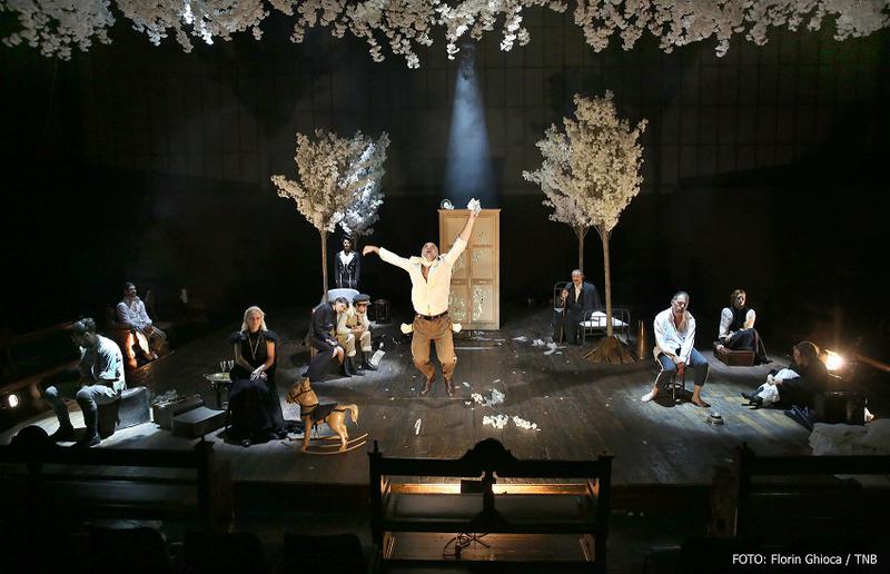 Livada de visini: foto Florin Ghioca, Foto: TNB