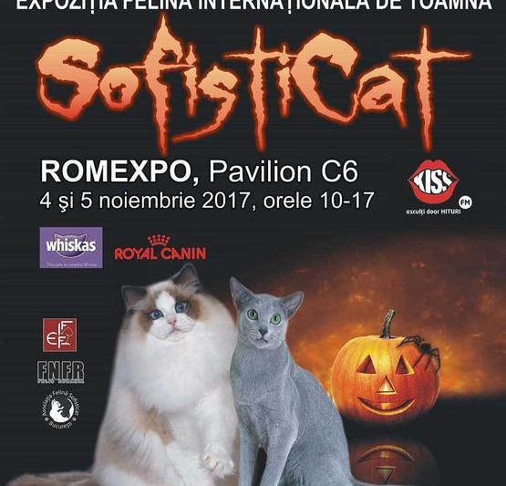 SofistiCAT, 4-5 noiembrie Romexpo, Foto: Afis expozitie