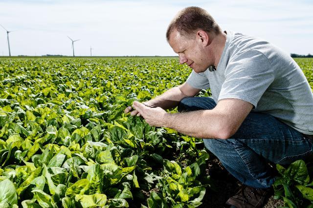 Agricultura bio, Foto: Comisia Europeana