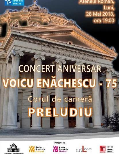 Concert aniversar Voicu Enachescu, Foto: Afis