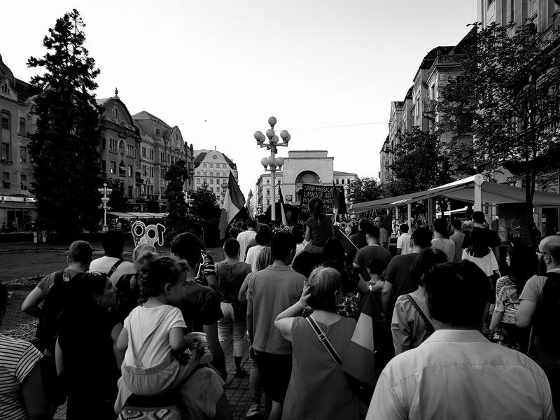 Protest Timisoara, Foto: Ana Maria Radoi Facebook