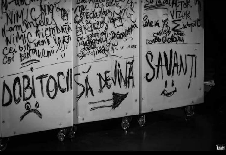 Improvizatie la Alma, Foto: TNB