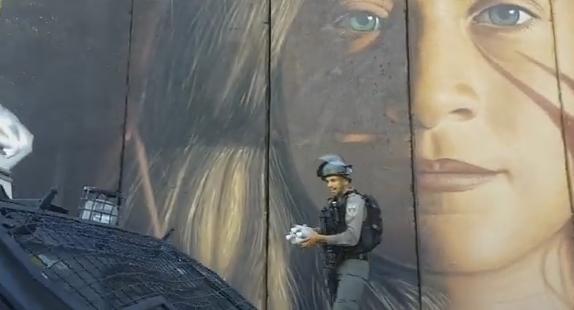 Portretul lui Ahed Tamimi, Foto: YouTube