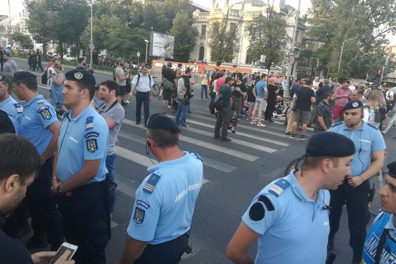 Jandarmi la proteste in Piata Victoriei, Foto: Hotnews