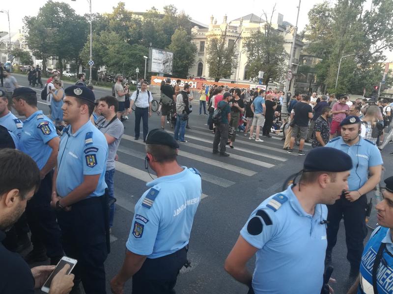 Jandarmi la proteste in Piata Victoriei, Foto: Hotnews
