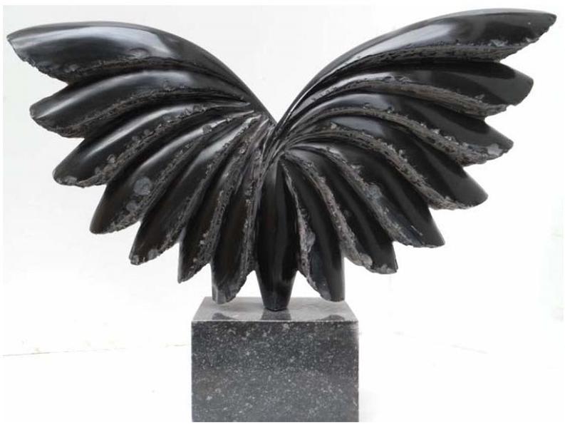 Marian Sava: FAN DANSE, Foto: ICR