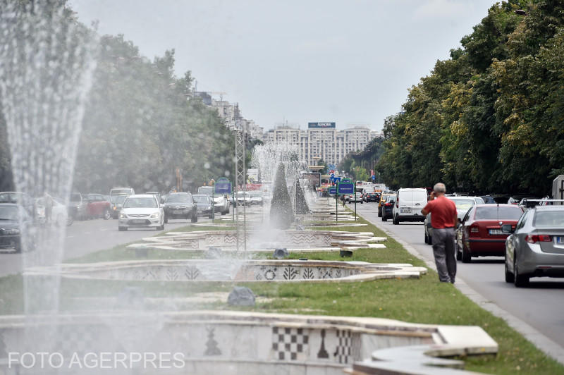 Fantani Unirii, Foto: Agerpres