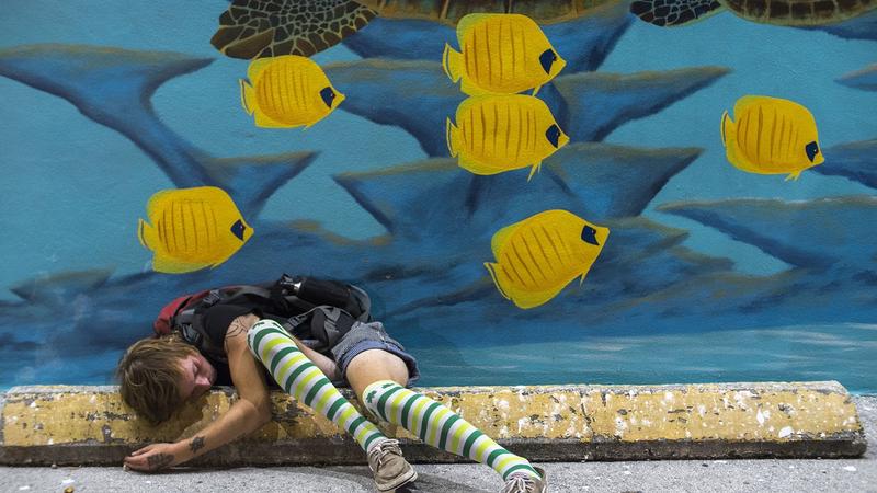 I Am Another You (SUA), Regia Nanfu Wang, Foto: Astra Film