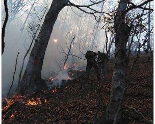 Incendiu de padure in Alba, Foto: ISU Alba