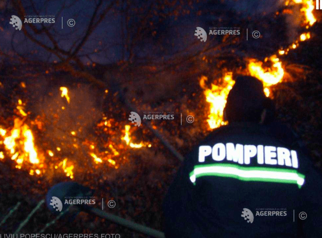 Incendiu la Dunavatu de Jos, Foto: Agerpres