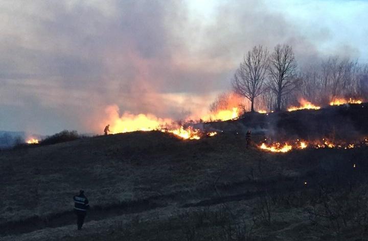 Incendiu de vegetatie, Foto: Facebook/ ISU Gorj