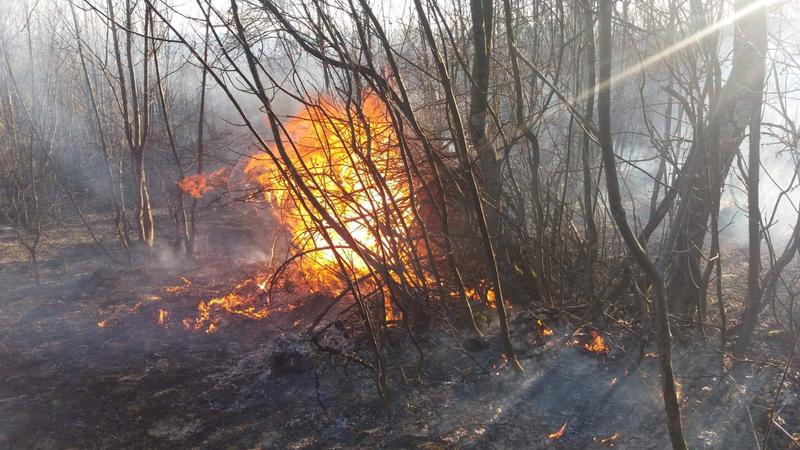 Incendiu de vegetatie, Foto: Facebook/ ISU Gorj