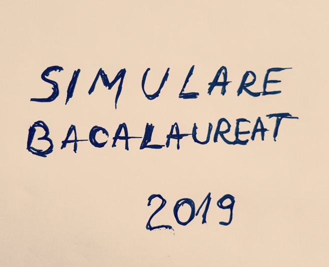 Simulare Bac 2019, Foto: Hotnews