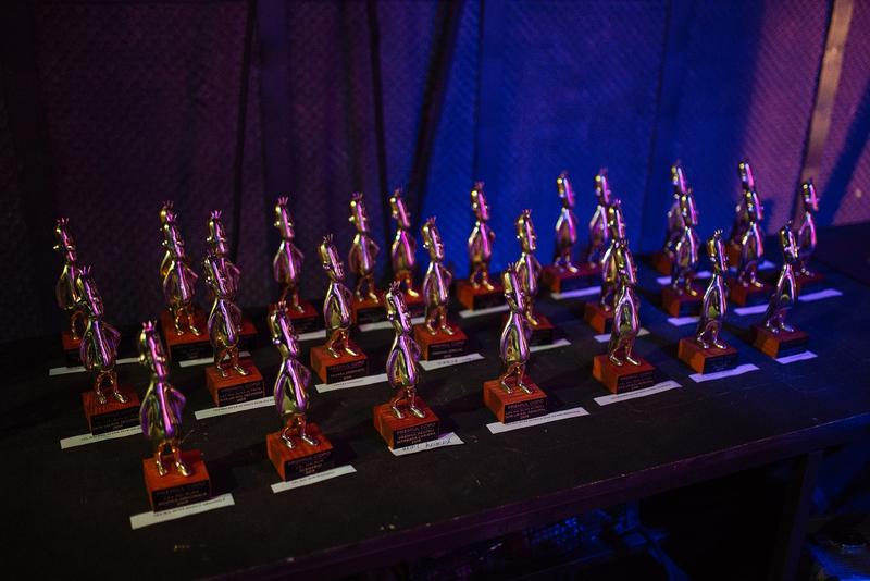 Premiile Gopo: foto Vlad Catana, Foto: Poster