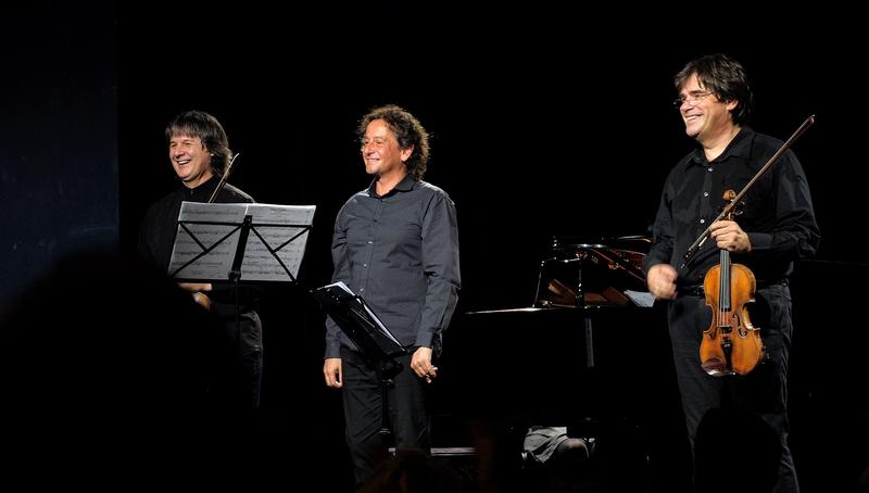 Duelul viorilor 2018 - Foto Virgil Oprina, Foto: Poster