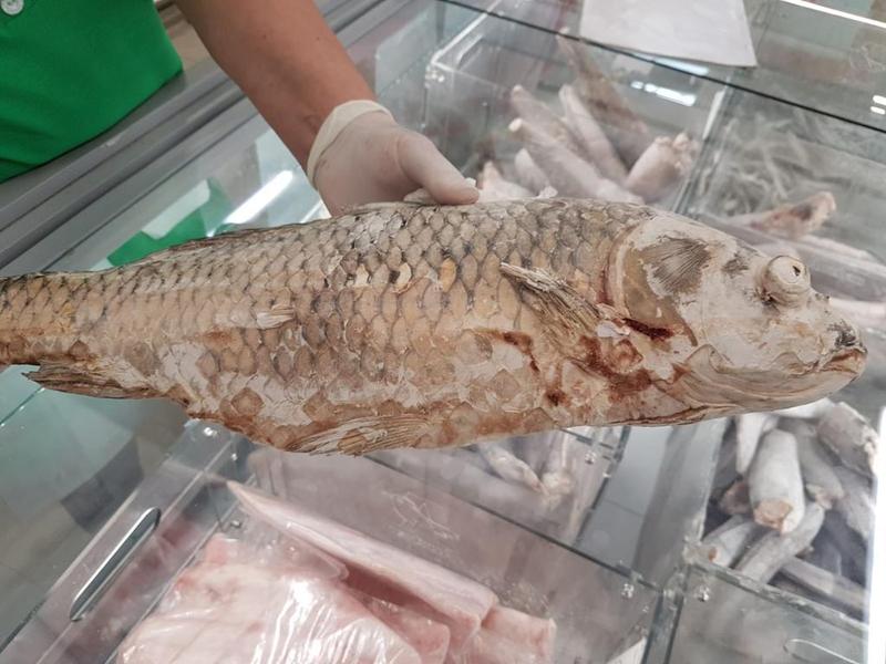 peste stricat, Foto: ANPC