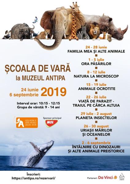 Scoala Vara la Antipa , Foto: Afis