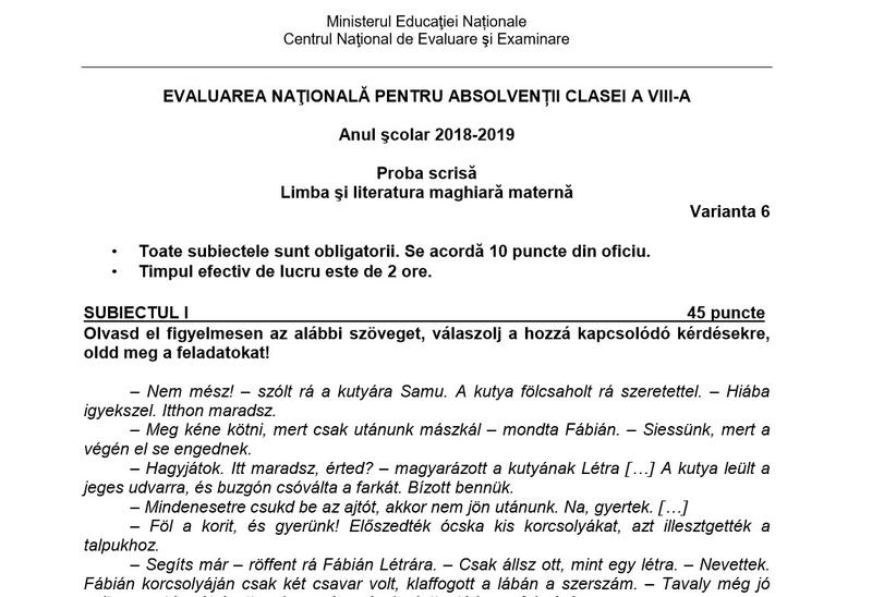 Subiecte Evaluare Nationala 2019, Foto: Hotnews