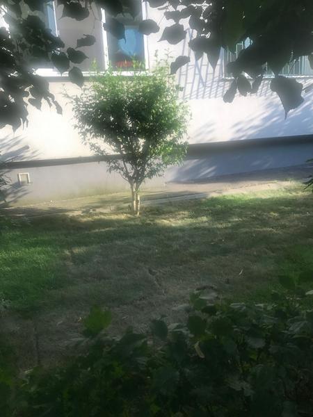 Gazon Aviatiei 1, Foto: Hotnews