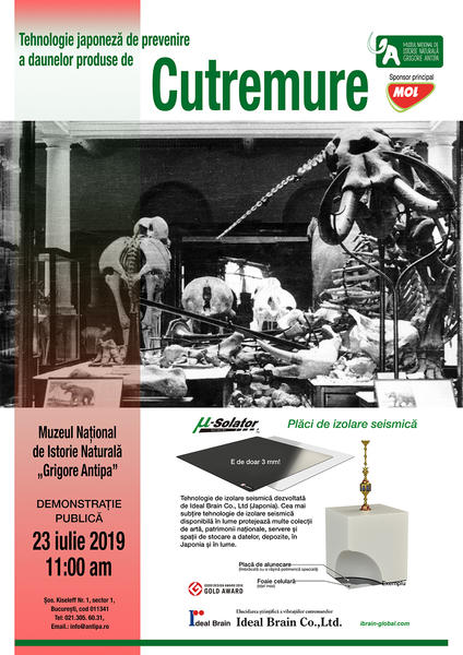 Sistem japonez anticutremur la Muzeul Antipa, Foto: Muzeul Antipa