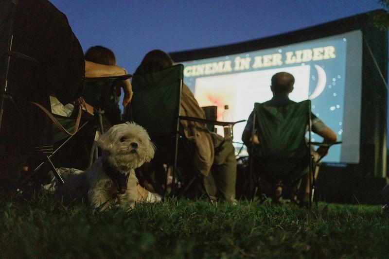 Cinema în Aer Liber: foto Teo Tudose, Foto: