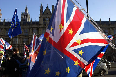 Palatul Westminster, protest Brexit, Foto: Flickr/ ChiralJon