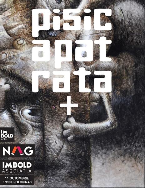 Pisica Patrata NAG imbold, Foto: Afis expozitie