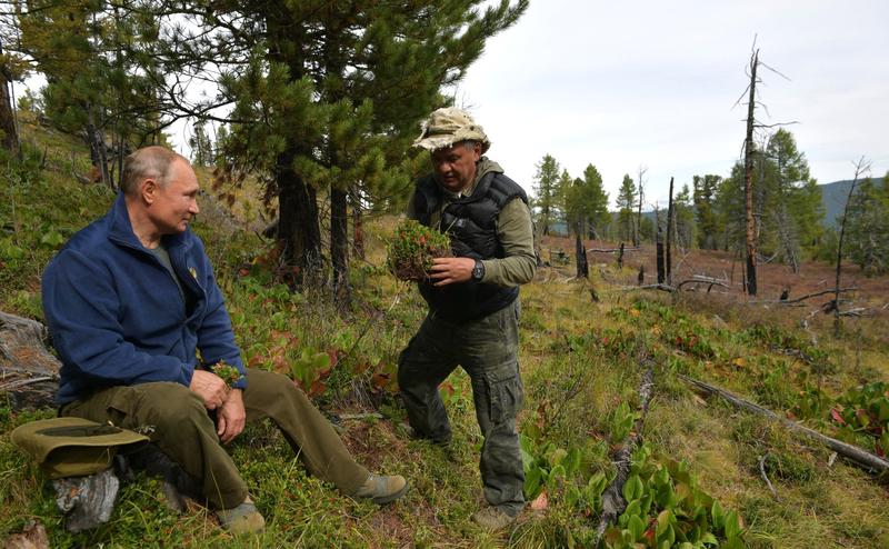 Putin la cules de fructe de padure, Foto: kremlin.ru