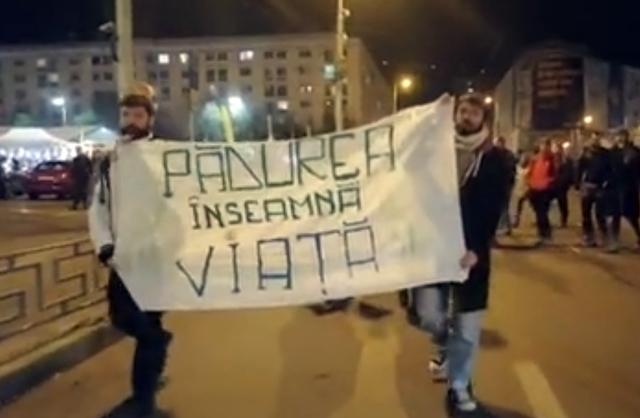 Manifestatie pentru paduri, Foto: Captura de ecran