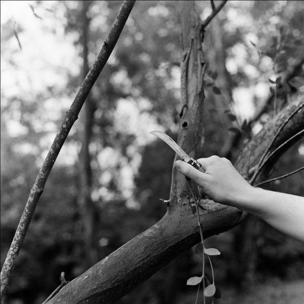 Olivia Mihălțianu, Cette histoire n'est pas fantastique, Foto: Anca Poterasu Gallery