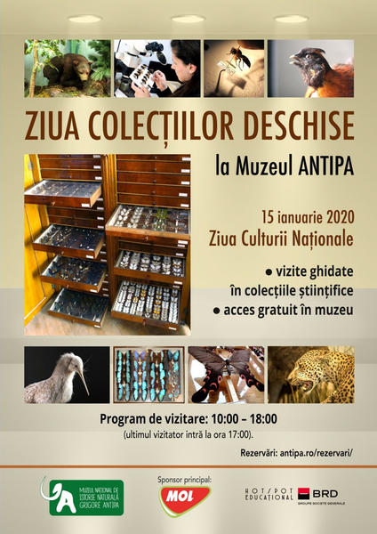 Ziua Colectiilor Deschise, Foto: Muzeul Antipa