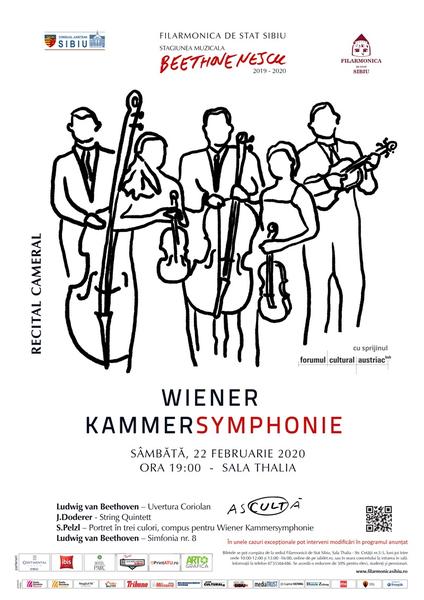 Wiener Kammersymphonie, Foto: Afis concert