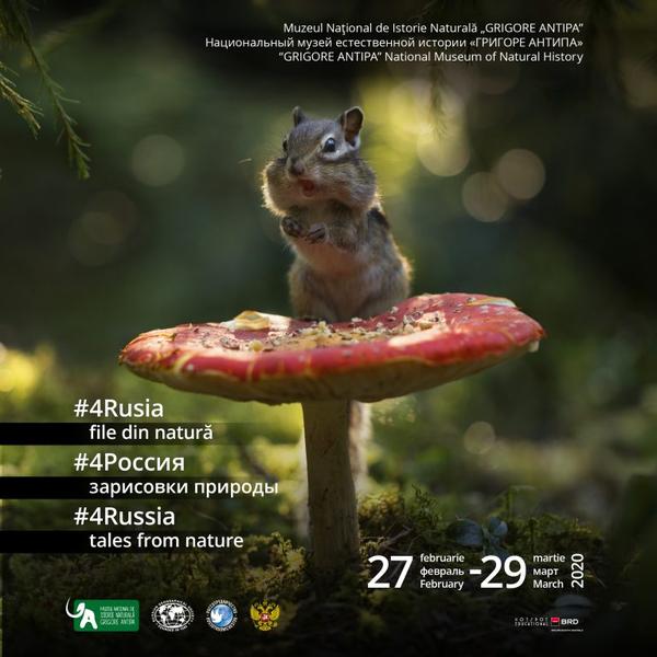 #4Rusia - file din natură, Foto: Muzeul Antipa
