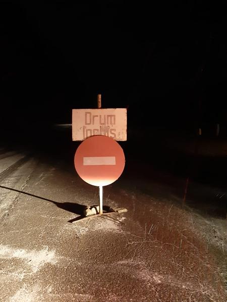 viscol, Foto: Politia Romana